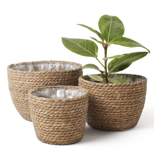 Premium Pots For Plants - Image 3